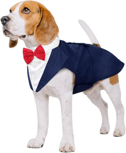 Abito smoking per cani set - abito, cani,