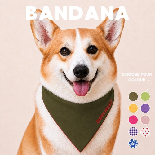 Bandana cane personalizzata