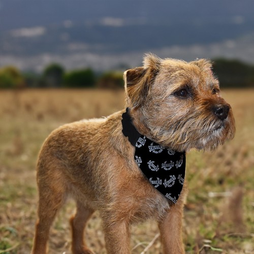 Bandana per cani - bandana,