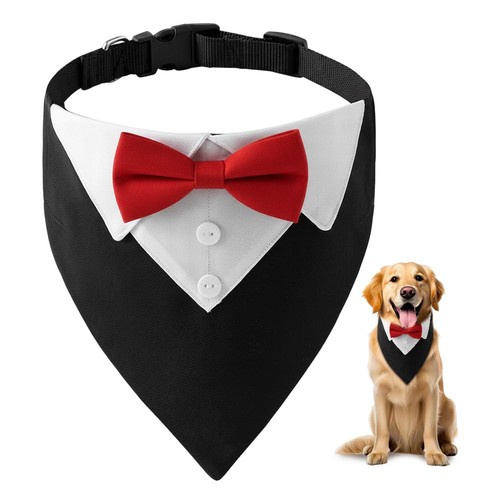 Bandana per cani formale - bandana, 36-60