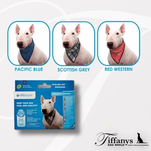 Collare refrigerante bandana