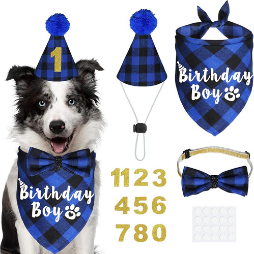 Forniture per feste cani - , a