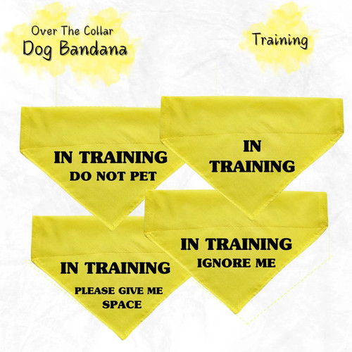 Bandana per cani gialla - , sopra