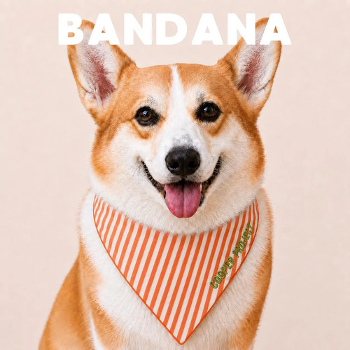 Bandana cane con nome - , ricamato