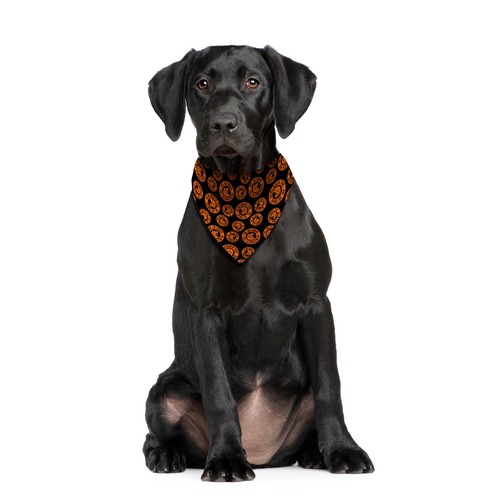 Foulard bandana per - foulard,