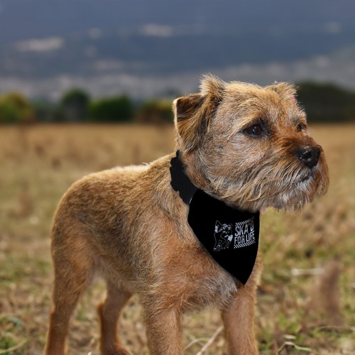 Bandana per cani - bandana,