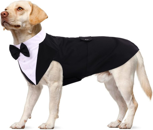 Set abito bandana per cani - set,