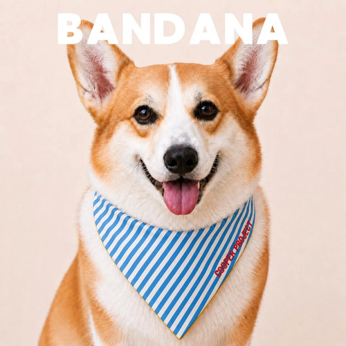 Bandana cane righe - bandana,