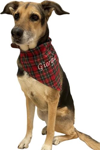 Bandana per cani - bandana,