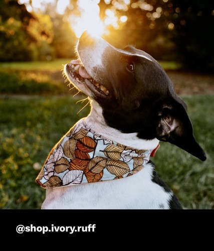 Bandana per cani - , reversibile