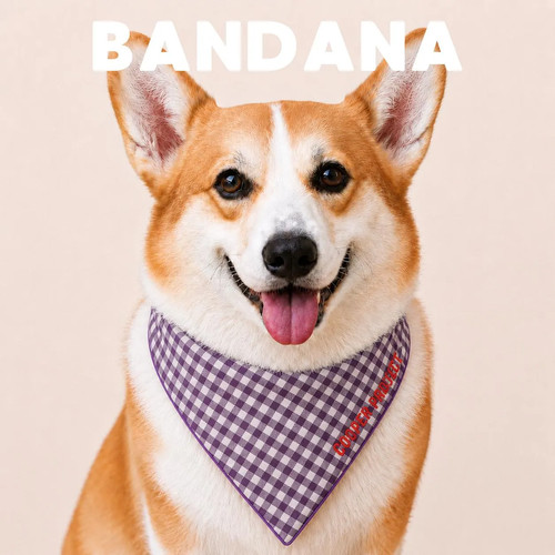 Bandana cane quadri - bandana, a