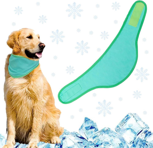 Collari per cani - collari, di
