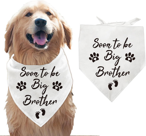 Bandana per cani - bandana,