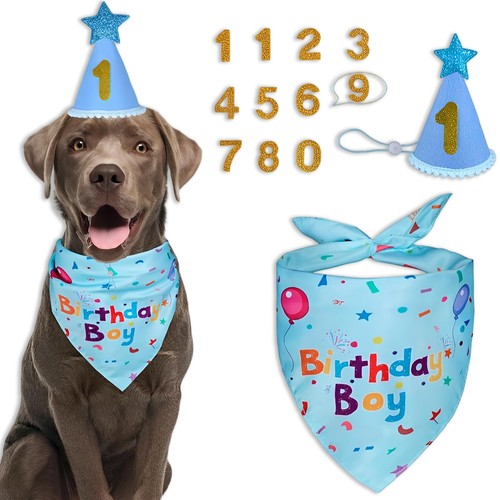 Set compleanno cane blu - set,